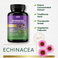 Capsules d'extrait d'échinacée de haute qualité OEM/ODM avec vitamine C et curcuma pour un soutien antioxydant et un renforcement du système immunitaire