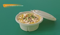 Premium Dubbellaagse Biologisch Afbreekbare Wegwerp Ramen Emmerdeksel 1000ml 800ml 650ml 500ml Multi-Tier Soep Combo Anti-Vocht Thermisch