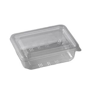 wholesale disposable plastic Fruits box for supermarket