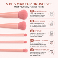Ensemble de pinceaux de maquillage miniatures professionnels de haute qualité pour le visage, avec logo personnalisé, étiquette privée, pour la maison et les voyages, avec boîte miroir en nylon