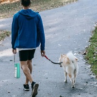Distributeur de bouteille d'eau portable pour chien pour petits grands chiens chiot pliable randonnée en plein air bol à boire fournitures pour animaux de compagnie