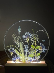 Người mới bắt đầu <span class=keywords><strong>Epoxy</strong></span> Kit bong bóng miễn phí Vàng kháng <span class=keywords><strong>Epoxy</strong></span> <span class=keywords><strong>Resin</strong></span> cho Diy tác phẩm nghệ thuật, sông bảng, nhựa nghệ thuật - Product Image 2