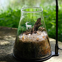 Pot intelligent pour la croissance des plantes, terrarium en verre borosilicate de haute qualité avec LED à intensité variable et contrôle du flux d'air pour la maison et les cadeaux