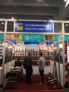 Bottle <strong>Jack</strong> China Factory Directly Sales Supplier16 Ton tank Lifting <strong>Automatic</strong> <strong>Car</strong> <strong>Jack</strong> with CE GS TUV - Product Image 6