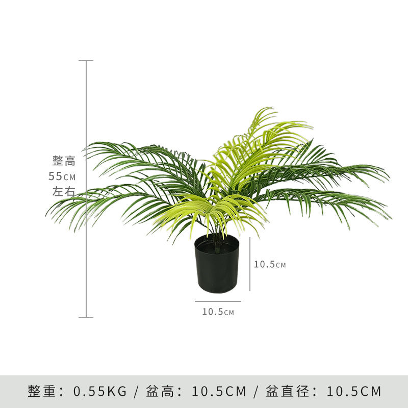 Modèle d'activité Phoenix 55 cm avec base noire.