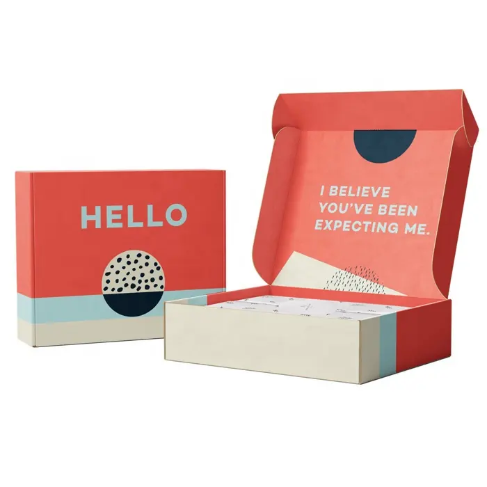 Caja de regalo de cartón corrugado impresa personalizada, caja de envío, caja de avión personalizada