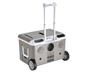 Compresseur Portable 12v DC, Mini voiture, réfrigérateur, congélateur, pour Camping, caravane, Camping-Car