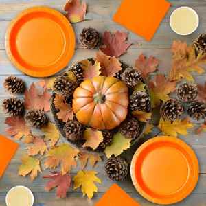 Factory Direct 24 <b>Orange</b> Party Supplies Modern Style 72-Piece Set <b>Paper</b> Plates Cups Napkins for Birthday Picnic Summer Events - Product Image 4