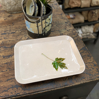 Ecologisch verantwoorde BPA-vrije rechthoekige dienblad van rijstvliesvezels voor restaurants & kamperen, geschikt voor magnetron, bestek & fruit.