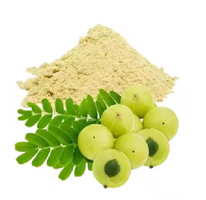 ผงสกัดแอมลาอินเดียผลิตภัณฑ์เสริมอาหารสมุนไพรวิตามินซีจากธรรมชาติสำหรับดูแลผิว - Product Image 1