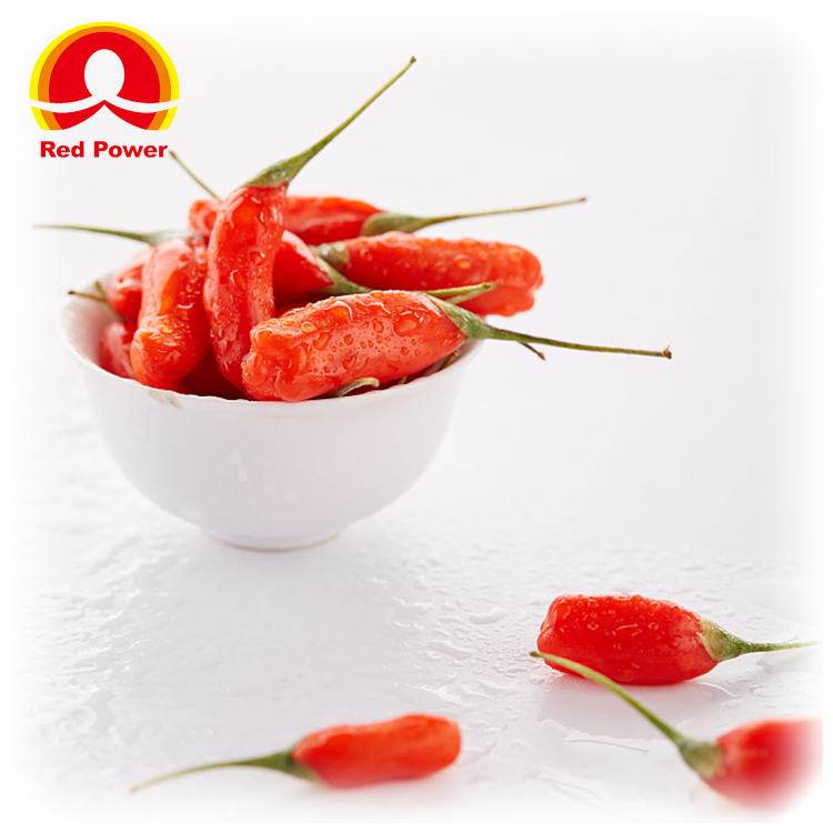 Свежие волчьи ягоды ningxia Red Power QIZITO по цене волчьих ягод