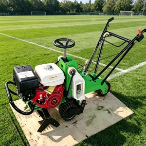 Coupe-herbe à bras amortisseur très apprécié, vitesse de coupe de 1500 m/h pour le projet de pose de <span class=keywords><strong>gazon</strong></span> <span class=keywords><strong>en</strong></span> parc - Product Image 3