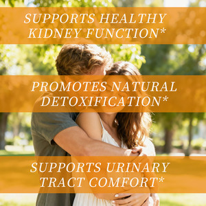 High Quality Kidney Cleanse Detox Repair Capsules Kidney Cleanse and Detox Healthy Kidney Function Bladder Health Capsules - Product Image 6