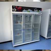 Congélateur vertical commercial ventilé sans givre à refroidissement par air pour supermarché avec grande vitrine en verre