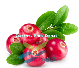 HGO Factory Direct Supply Extrait de fruit de canneberge naturel pur (qualité alimentaire) Proanthocyanidines 50% (extrait standardisé) - Product Image 2