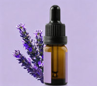 Réacteur en acier inoxydable gainé