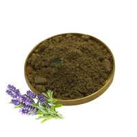 Pasokan jumlah besar OEM ekstrak teh bunga Lavender kering bubuk ekstrak bunga Lavender 10:1