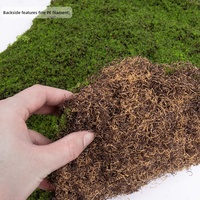 Bahan Dekoratif Lumut Buatan untuk Kreasi Lanskap Bonsai Dalam Ruangan, Dekorasi Pernikahan, Tanaman Hijau - Simulasi Tinggi, Tahan Lama