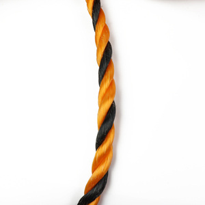 Cường độ cao 3 Strand 4 Strand nhựa <span class=keywords><strong>Monofilament</strong></span> Sợi <span class=keywords><strong>PP</strong></span> PE đầy màu sắc Twist <span class=keywords><strong>Rope</strong></span> cho bao bì kéo - Product Image 6