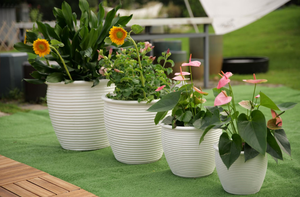 Maceta de Cerámica Transpirable Anti-Carillón, Redonda, Blanca Brillante, para Decoración Interior y Exterior - Product Image 5