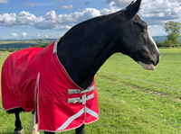 Couverture d'extérieur imperméable verte pour cheval avec col en fausse fourrure, résistante à la pluie, pour l'hiver