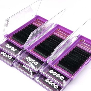 <span class=keywords><strong>2025</strong></span> Phổ Biến Nhất Lông Mi 0.12 0.15 Phẳng Lash Mở Rộng Tùy Chỉnh Hộp Giấy Lông Mi Mở Rộng Phẳng - Product Image 4