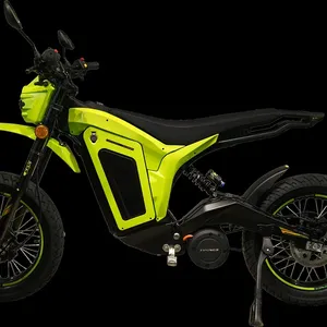 2024 sıcak satış modeli 72V 45A elektrikli motosiklet samuray karbon FIBER çerçeve motosiklet yetişkinler için