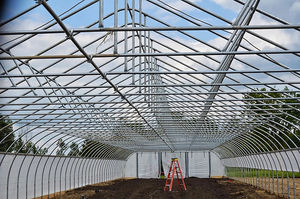 Serre en film plastique économique à faible coût pour tomates et légumes - Product Image 4