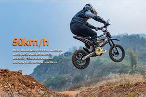 Bicicleta Eléctrica Todoterreno EU de 12 y 14 Pulgadas, 2000w de Potencia Máxima, 50km/h, Freno de Disco Hidráulico - Product Image 4