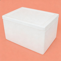 Boîte isotherme en carton biodégradable de grande taille avec polystyrène pour la vente en gros de fruits de mer