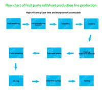 HENAN JIUDE Fruitleerproductielijnmachine met motor & tandwiel, capaciteit 1T-2T/dag, materiaal SUS304, voor het maken van fruitrolletjes