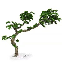 Arbre artificiel unique en ficus microcarpa, bonsaï, plante, arbre, beauté, pin