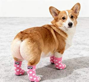 Chaussettes pour <span class=keywords><strong>chien</strong></span> doublées Sherpa <span class=keywords><strong>Chaleur</strong></span> et douceur ultimes - Product Image 4