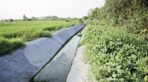 Toile de ciment de génie civil la plus vendue Esay-installation de terrassement Geomat en béton pour le contrôle de l'érosion et la protection des pentes - Product Image 5