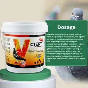 Píldoras de Nutrición para <span class=keywords><strong>Palomas</strong></span> Jóvenes, Vitalidad y Dominancia, Crecimiento, Desarrollo Corporal, Muda, Cría, Carreras, Hechas en China, Empaquetado en Cubo - Product Image 6