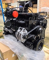 Convient pour l'assemblage du moteur de camion à benne basculante Cummins 8.9L Série QSL Assemblage moteur QSL8.9-C300 6LTAA8.9-C340