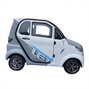 Everbright Mini Auto Elettrica a 4 Ruote, 2 Porte, 2 Posti, Batteria al Litio, Certificata EEC e COC Cinese - Product Image 5