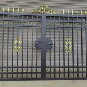 2025Nuevo estilo Puerta principal Diseño Puerta de jardín Puertas de hierro forjado para el hogar - Product Image 2