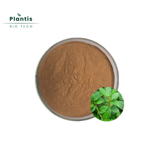 Высококачественный пищевой экстракт листьев гимнемы сильвестре в порошке, 25% и 75% гимнеминовой кислоты - Product Image 1