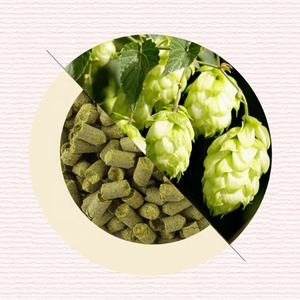 高品質のStrisselspaltホップペレットBULK Supply HopExtRact <span class=keywords><strong>Hops</strong></span> Granules - Product Image 2