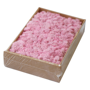 QSLHFH-1049 Haute Qualité Fraîche Conservée Mousse Végétal Stabilisé Pour La Décoration D'intérieur - Product Image 3