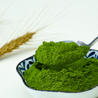 Poudre de menthe naturelle pour boissons et confiseries