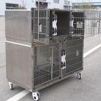 Cage pour chien en métal noir robuste avec revêtement anti-rayures pour chiens actifs
