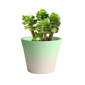 Commercio all'ingrosso <span class=keywords><strong>di</strong></span> piccole <span class=keywords><strong>piante</strong></span> <span class=keywords><strong>di</strong></span> plastica succulente alla rinfusa dal vivo disposizioni succulente per uso domestico e giardino - Product Image 3