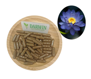 100% tinh khiết tự nhiên màu xanh hoa sen chiết xuất bột 50:1 100:1 200:1 màu xanh chiết xuất hoa sen - Product Image 3