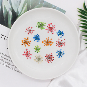 Fleurs séchées pressées naturelles de Queen <span class=keywords><strong>Anne</strong></span>'s Lace pour la résine, la bijouterie DIY, les loisirs créatifs et les fournitures pour le nail art - Product Image 4