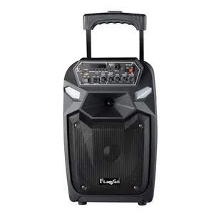 Hete Verkoop Hoge Kwaliteit 500W Power Bass 8 Inch Fabrieksprijs Outdoor Actieve Blue Tooth Karaoke Party Speaker