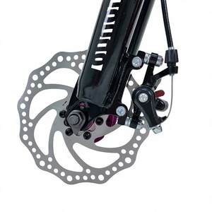 Vélo de montagne 2026 haute capacité de charge, 26 pouces, fourche à suspension en acier, <span class=keywords><strong>double</strong></span> frein à disque, 21 vitesses, cadre rigide en alliage d'aluminium, 26*2.5 - Product Image 2