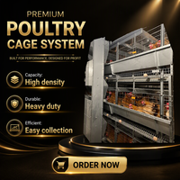 Cage à poulets automatique personnalisée, cage en batterie, équipement avicole pour les grands projets d'élevage avicole