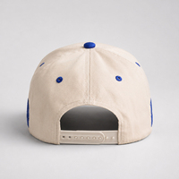 Casquette de baseball bicolore en coton structuré avec broderie 3D et bande latérale contrastante – Vente en gros